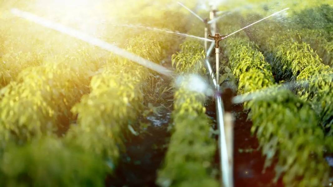 Antalyalı Çiftçilere İl Tarım’dan Kritik Uyarı 2